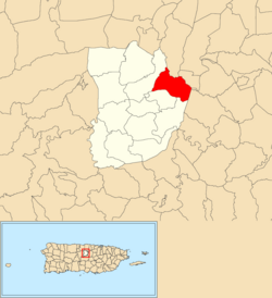 Location of Unibón within the municipality of Morovis shown in red