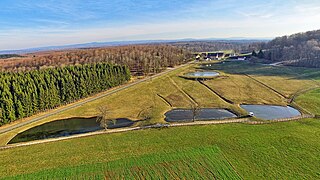 Le village de Verrières-du-Grosbois au milieu de la forêt et des étangs.