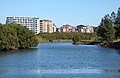 Confluence of Wolli Creek and the Cooks River, near Tempe.