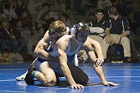 200px-Wrestling_falconfrenzy158.jpg