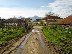 Десово, отзад Златовръх