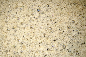 English: Bubbles forming during beer-brewing b...
