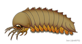 Image 2Reconstruction of Mollisonia plenovenatrix, the oldest known arthropod with confirmed chelicerae (from Chelicerata)