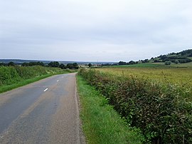 The road and landscape in Vianges