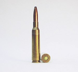 6.5 x 55mm.JPG