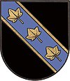 Wappen von Hohenau an der Raab