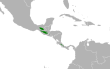 Carte de l'Amérique centrale avec certaines zones coloriées en vert