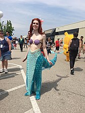 Ariel the Little Mermaid