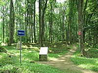 La grand'rue en 2008. Le relief du sol garde encore la marque des explosions d'obus et le panneau rouge sur l'arbre rappelle que la zone est toujours dangereuse