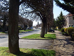 Boulevard Étienne Hardy et ses tilleuls centenaires.