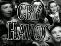 Vignette pour Cry Havoc (film)