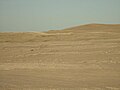 Dunas