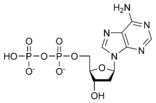 Estructura quimica de la desoxiadenosina difosfat