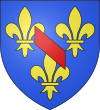 Image-Blason duche fr Bourbon (moderne 2).svg