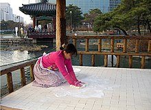 Jinran Kim, Übung in Vergeblichkeit, Seifenboden. Yeuido Park, Seoul, Korea 2008