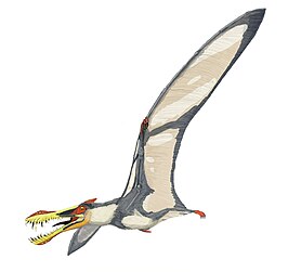 Liaoningopterus