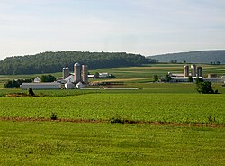 Dairy farms in Limestone Township