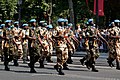 MINUSMA-detachement tijdens een parade op 14 juli 2013 in Parijs