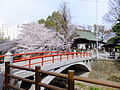 2012年4月11日 (水) 12:48時点における版のサムネイル