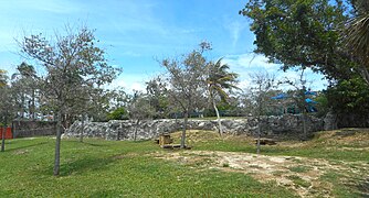 Miami Rock Ridge exposed at the Park