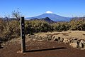 2021年11月22日 (月) 10:38時点における版のサムネイル