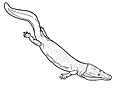 Neldasaurus wrightae, of the early Permian of Texas
