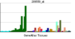 PBB GE NDN 209550 at tn.png