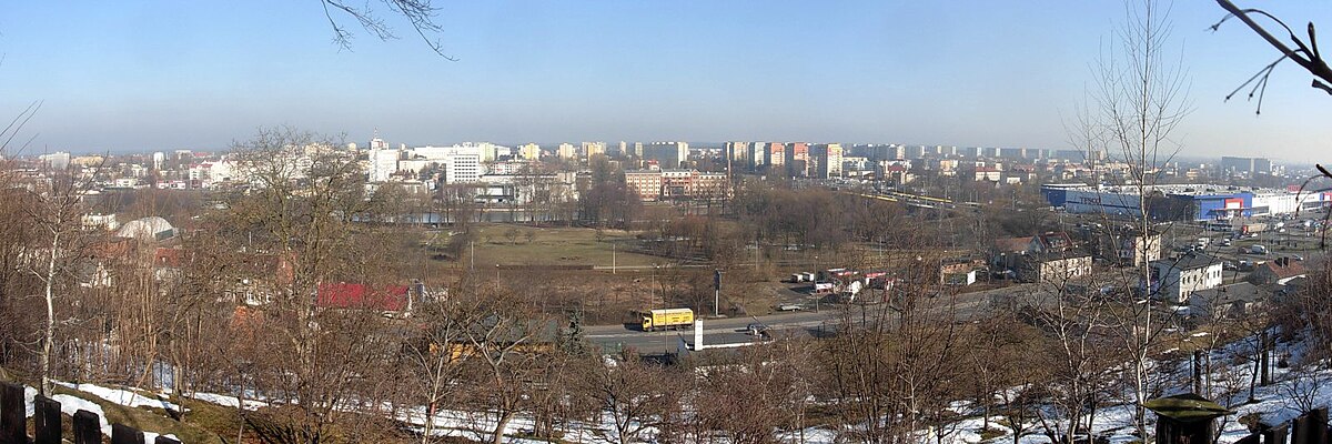 Ulica Toruńska widziana z parku na Wzgórzu Wolności