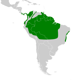 Distribuição da maitaca-de-cabeça-azul