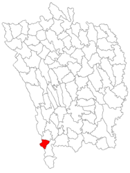 Location in Vaslui County