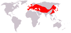 Poblacions de Corvus frugilegus en o mundo