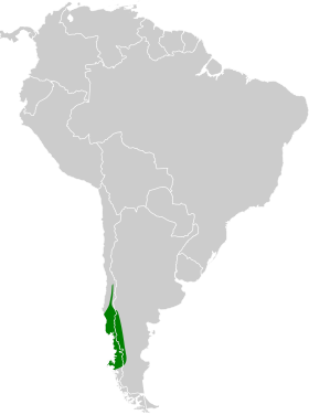 Distribución geográfica del chucao.