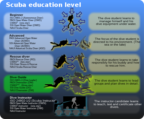 Scuba diving education levels as used by ISO, PADI, CMAS, SSI and NAUI Scuba education levels.svg