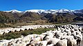 Bakuriani isch e belièbts Erholigsgebièt, bsunders im Winter zum Skifahre, abr au im Summer zum Wanderè (Oktober 2018).