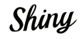 Логотип программы Shiny