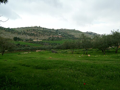 Printemps en Jordanie en mars 2007.