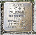 Waldstein, Elisabeth geb. Weinzweig