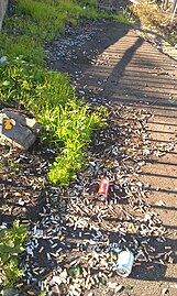 Strathfield Platform condition(2).jpg