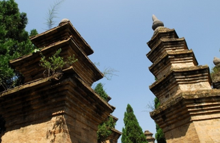 Hutan pagoda