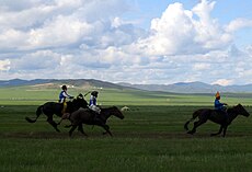 Three Naadam riders.jpg