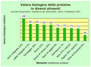 Italiano: Valore biologico di proteine in alim...