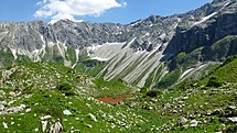 Nature reserve "Allgäuer Hochalpen" (NSG 00400.01): At an altitude of about 1800 m, the Schneck is behind the photographer. The valley in front belongs to the Stierbach in the upper Bärgündele valley. In the background the arêtes and summits of Kreuzkopf and Wiedemer Kopf can be seen. The little pond is reddish brown due to an algal bloom, caused by Planktothrix rubescens. That species of cyanobacteria prefers clear, standing water, which is poor in nutrients.