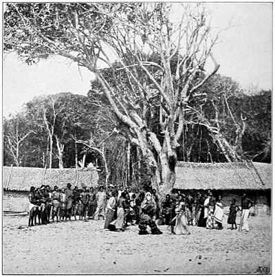 Jengu Devil Dance of King William's Slaves, Sette Camma, Nov. 9, 1888.