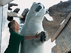 A visitor interacting with a polar bear