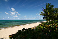 Almond Beach, Hopkins Almond Beach, Hopkins, Stann Creek, Belize.jpg