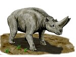 Miniatura para Arsinoitherium