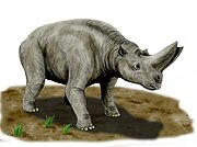 Arsinoitherium