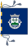 Bandeira de Louriçal do Campo