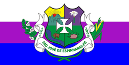 Bandeira de São José de Espinharas