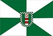 Vlag van Rio dos Cedros